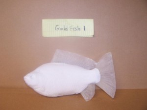 Goldfish1           