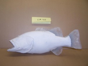 Largemouth Bass 122     