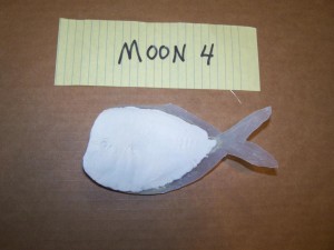 Moonfish 4      