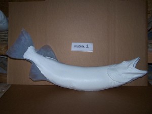 Muskie 1      