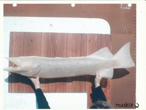 Muskie 2      