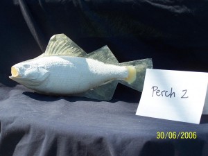 Yellow Perch 2      