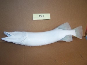 Northern Pike 1       